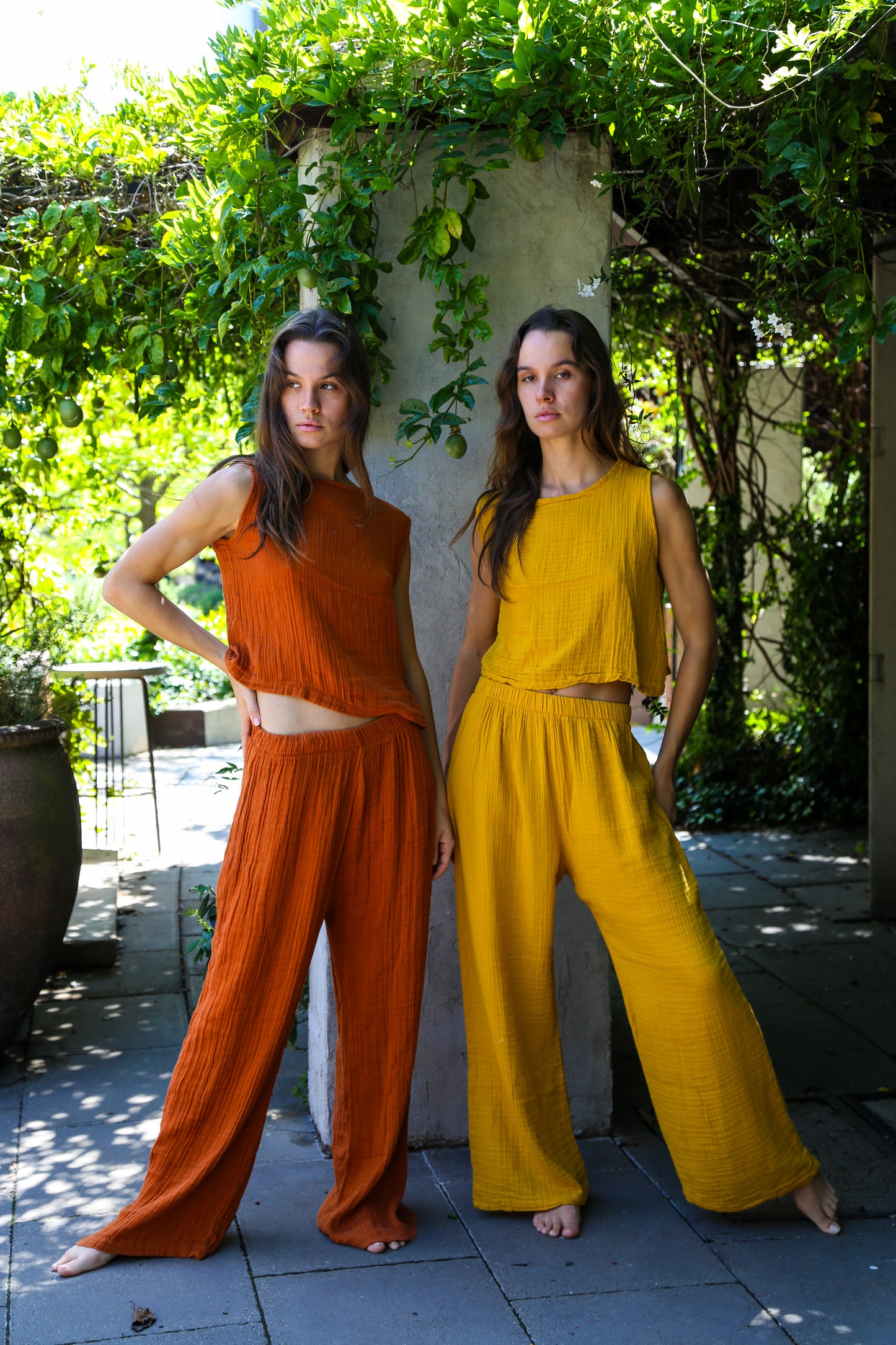 Nova Set Mustard